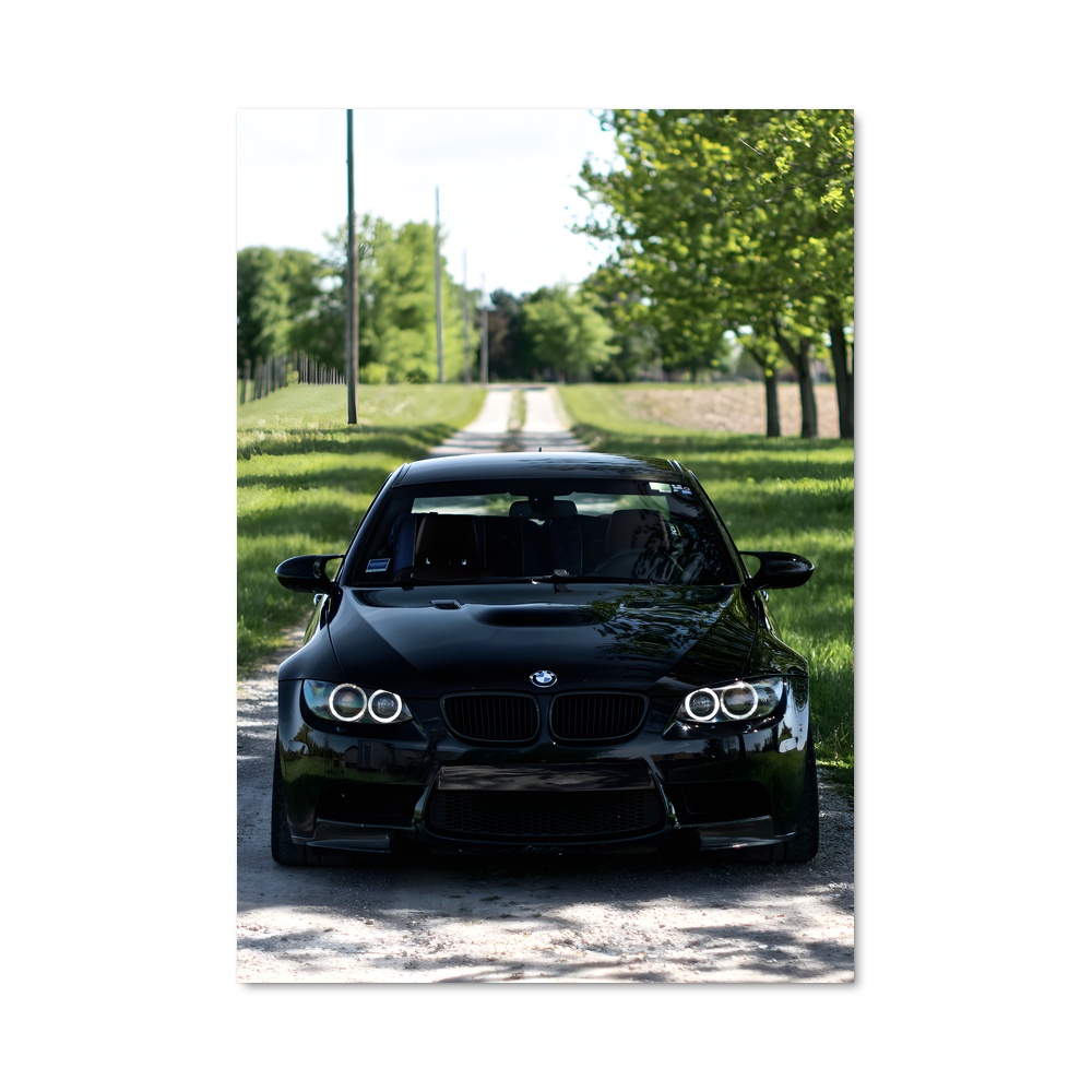 Poster Black Beast
